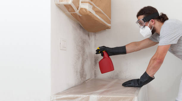 Professional Mold Remediation technician working in Orland Hills, IL