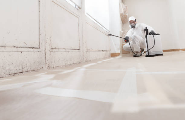 24/7 Emergency Mold Remediation experts in Orland Hills, IL